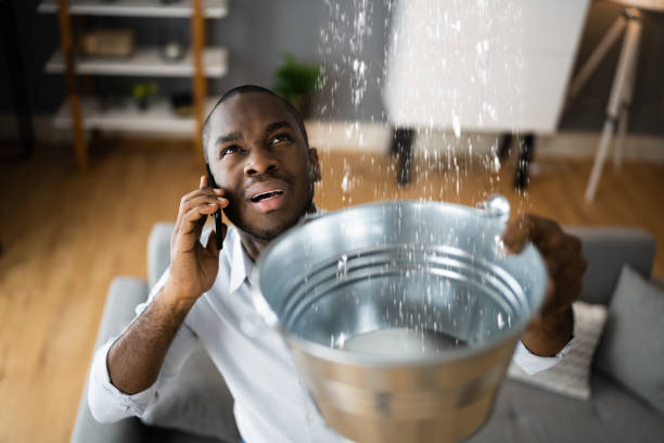 Best Mold removal after water damage  in Clara City, MN