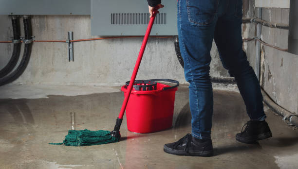 Best Water damage restoration experts  in Clara City, MN