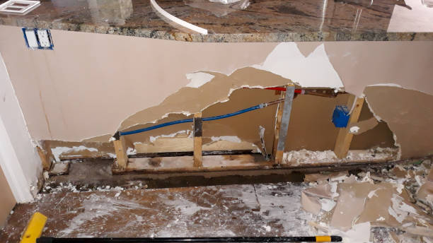 Best Ceiling water damage repair  in Clara City, MN