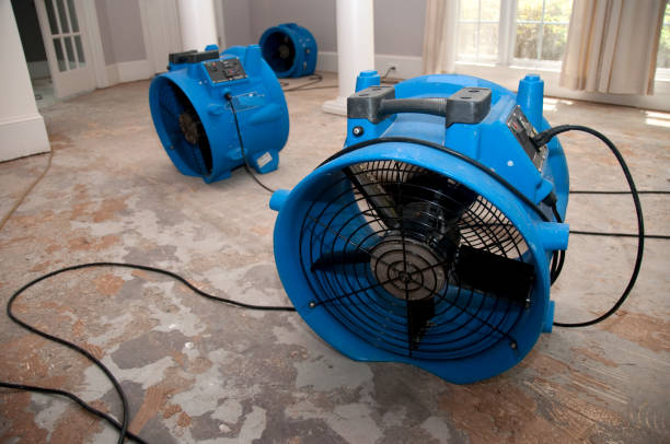 Professional Water damage restoration in Clara City, MN