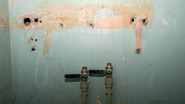 Best Water damage restoration services  in Clara City, MN