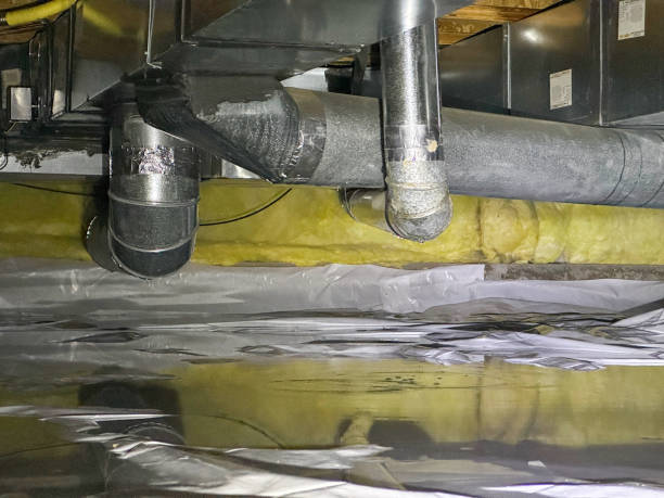 Best Residential water damage restoration  in Clara City, MN