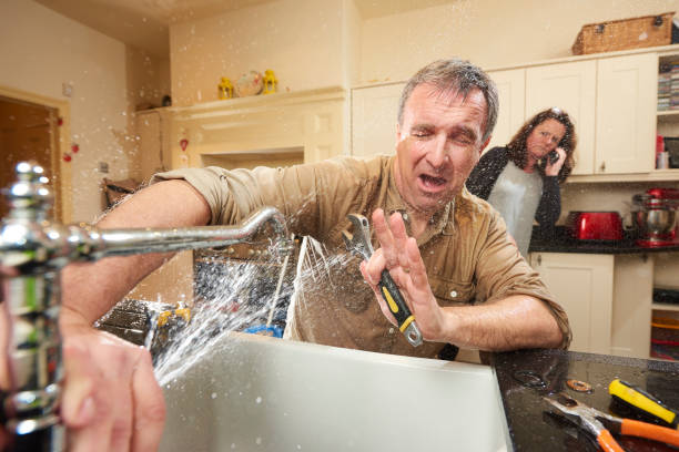Best Professional water damage repair  in Clara City, MN